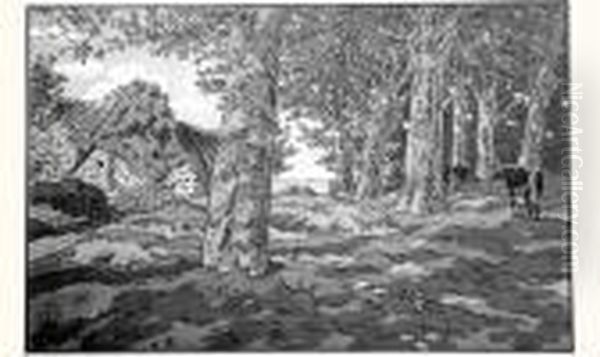 " Le Bois De Hetres A Kerzarden " 1917 - view 1