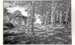 " Le Bois De Hetres A Kerzarden " 1917