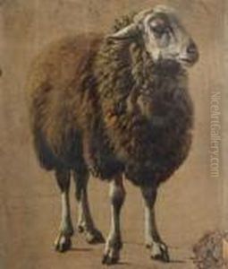 Schaap by Louis Marie Dominique Romain Robbe