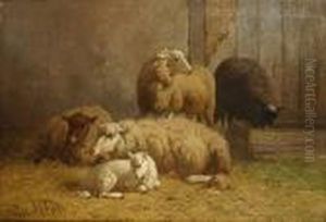 Schapen. Schapen.