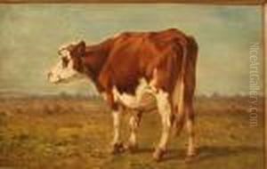 Vache Sur Fond Depaysage Vache Sur Fond Depaysage