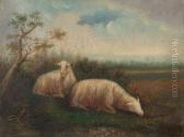 Moutons A La Prairie - view 1