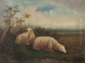 Moutons A La Prairie