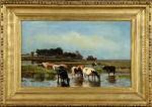 Vaches S'abreuvant Vaches S'abreuvant