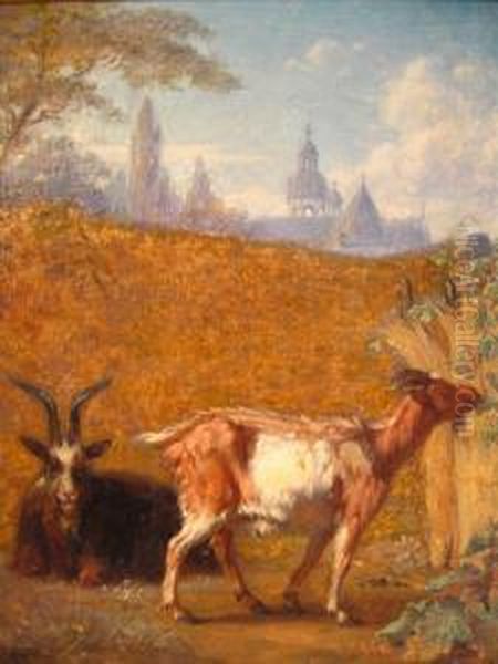 Goats In A Walled Enclosure - view 1