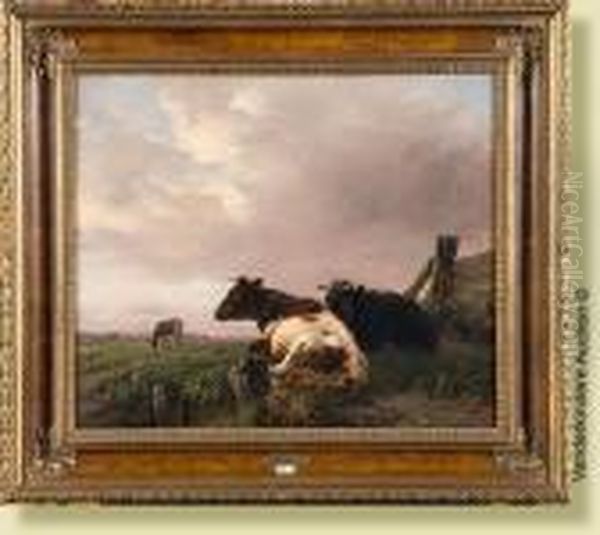 Vaches Couchees Au Pre - view 1