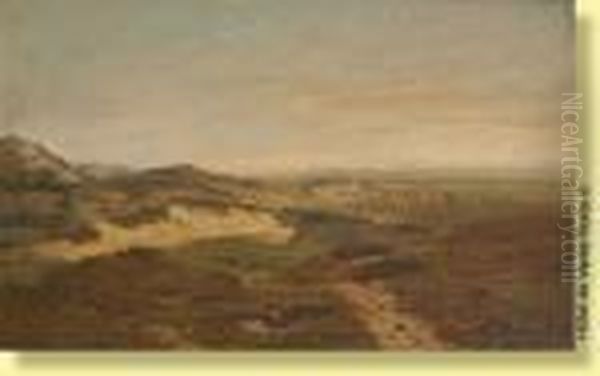 Troupeau De Moutons Dans Un Paysage - view 1