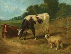 Koeien En Schaap In Een Weide. Koeien En Schaap In Een Weide.