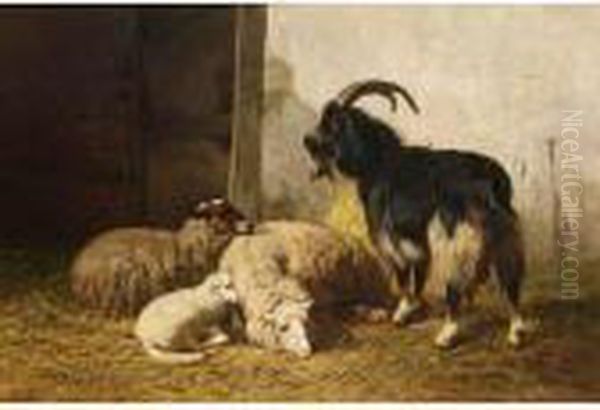 Sheep And A Goat In A Stable - view 1
