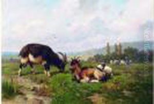 Les Chevres Et Le Bouc