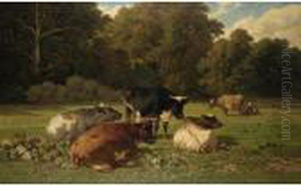 Cattle Resting In A Meadow - view 1