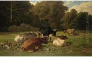 Cattle Resting In A Meadow Cattle Resting In A Meadow