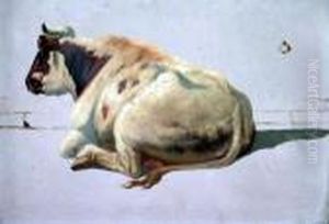 Etude De Vache Couchee by Louis Marie Dominique Romain Robbe