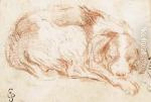 Un Chien Dormant - view 1