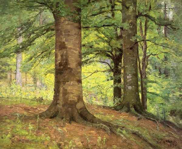 Beech Trees - view 1