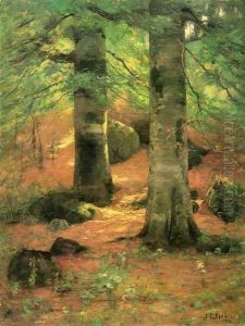 Vernon Beeches Vernon Beeches