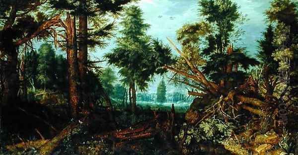 Woods after the Storm - view 1