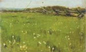 Field Of Dandelions