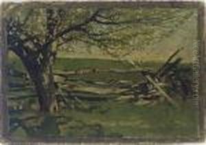 Apple Blossoms With Fence
