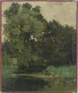 Pond Study Pond Study