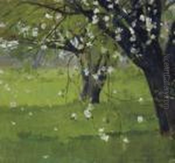 Tree Blossoms - view 1