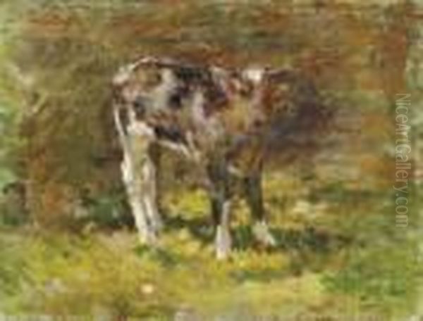 Calf - view 1