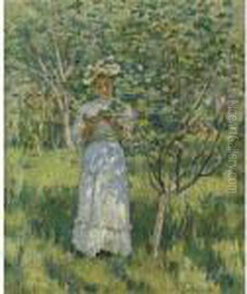 Sunlight And Shadows - view 1