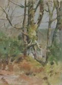 Spring Sunlight by Theodore Robinson