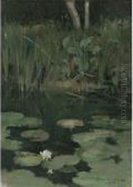 Water Lillies - view 1