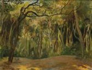 Sous-bois