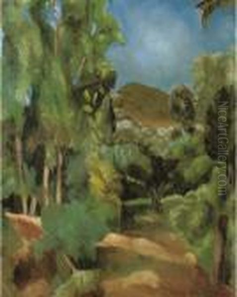 A Wooded Pathway - view 1