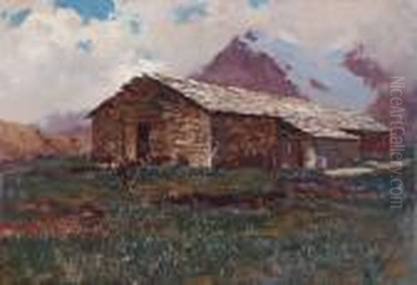 Pascolo Alpino - view 1