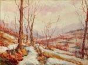 Paesaggio Invernale Paesaggio Invernale
