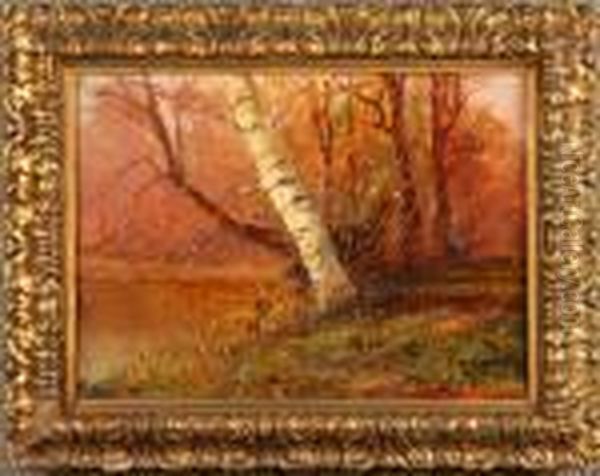 ''alberi Sul Torrente''. - view 1