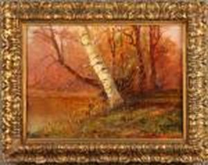 ''alberi Sul Torrente''. by Leonardo Roda