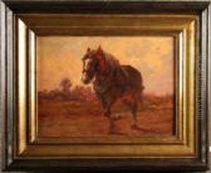 ''cavallo Da Tiro''.