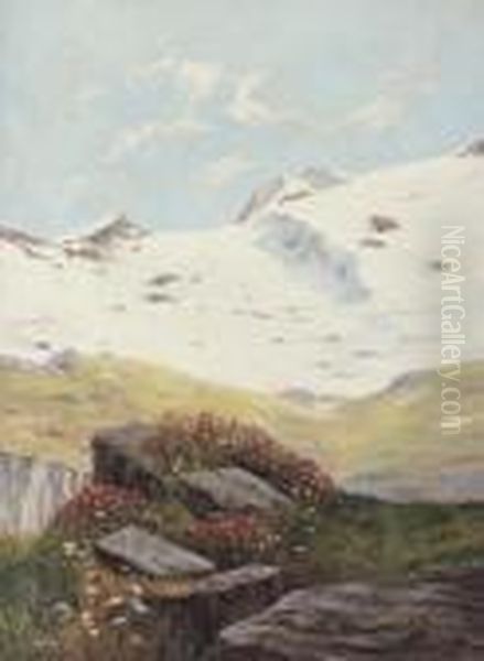 Vette Innevate - view 1