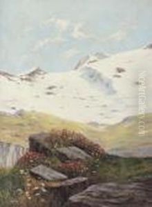 Vette Innevate by Leonardo Roda