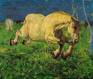 Horse at gallop