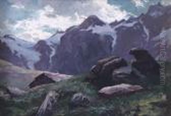 Ultime Nevi - view 1