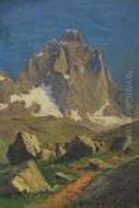 Sentiero Nei Pressi Della Cima