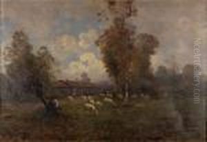 Pastorella E Gregge