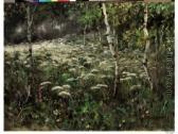 Fioritura Nel Sottobosco - view 1