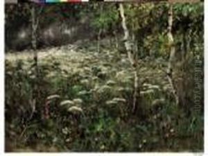 Fioritura Nel Sottobosco by Leonardo Roda