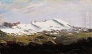 Rododendri In Alta Montagna by Leonardo Roda