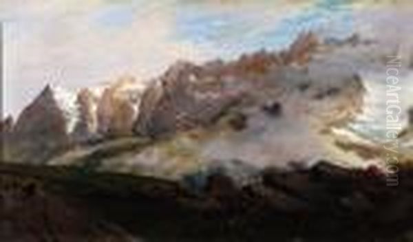 Fioritura Di Rododendri In Montagna - view 1