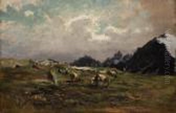 Pascolo - view 1