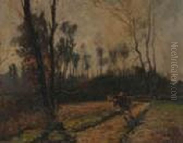 Nel Bosco D'autunno - view 1