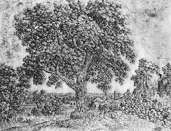 The Great Tree - view 1
