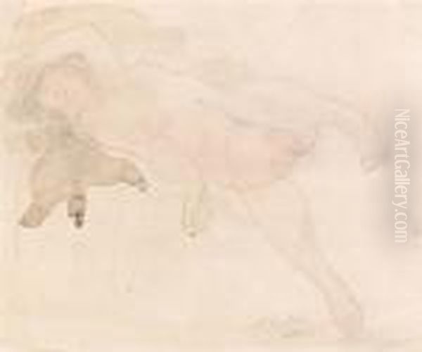 Nudo Femminile - view 1